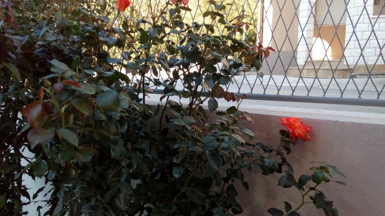 Apartment Sunce 珀德垂那 外观 照片